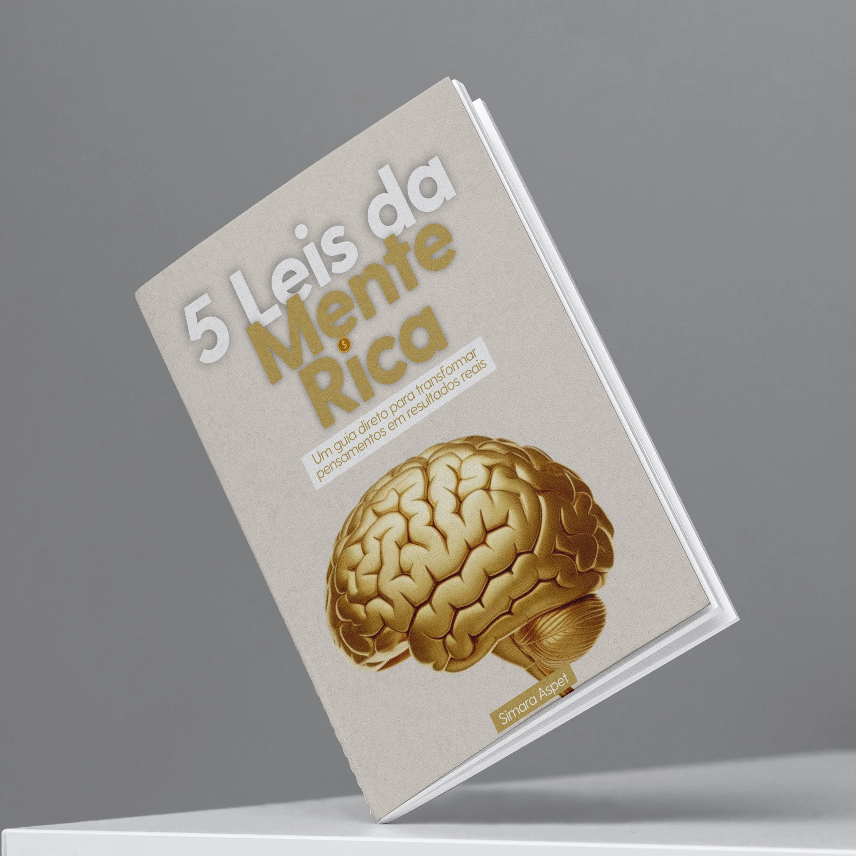 E-book 5 Leis da Mente Rica